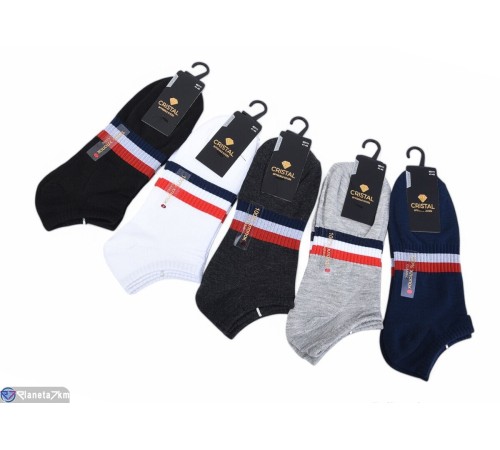 Шкарпетки чоловічі на весну/осінь (10 шт. р.сетка 41-45) мікс  "VERONIKA"