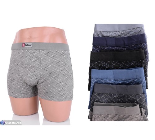 Труси чоловічі на весну/осінь (24 шт. р.сетка XL-4XL) мікс  "VERONIKA"
