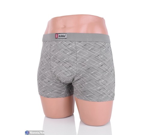 Труси чоловічі на весну/осінь (24 шт. р.сетка XL-4XL) мікс  "VERONIKA"