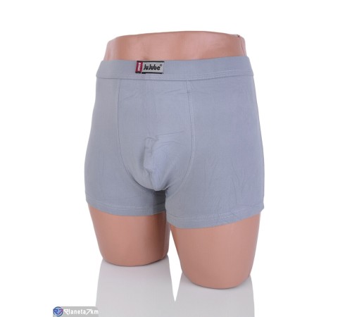 Труси чоловічі на весну/осінь (24 шт. р.сетка XL-4XL) мікс  "VERONIKA"