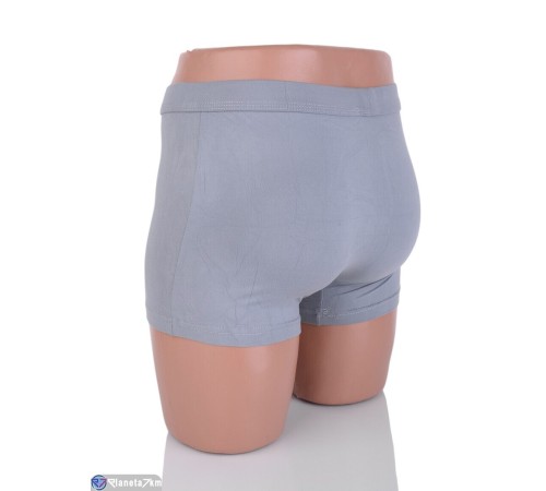 Труси чоловічі на весну/осінь (24 шт. р.сетка XL-4XL) мікс  "VERONIKA"