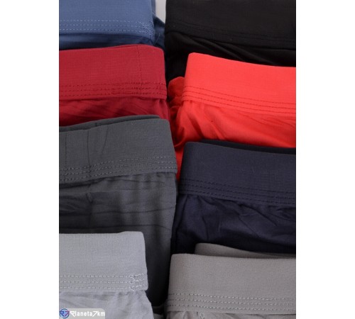 Труси чоловічі на весну/осінь (24 шт. р.сетка XL-4XL) мікс  "VERONIKA"