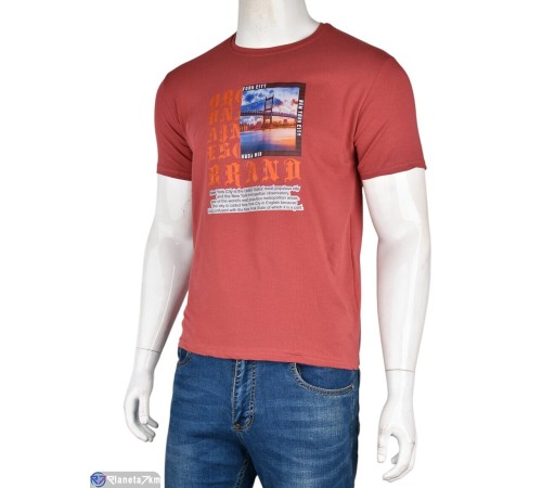 Футболка чоловіча на літо (5 шт. р.сетка S-2XL) бордовий  "Kalabok"