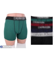 Труси чоловічі на весну/осінь (4 шт. р.сетка M-2XL) мікс  "VERONIKA"