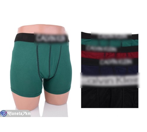Труси чоловічі на весну/осінь (4 шт. р.сетка M-2XL) мікс  "VERONIKA"