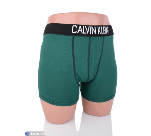 Труси чоловічі на весну/осінь (4 шт. р.сетка M-2XL) мікс  "VERONIKA"