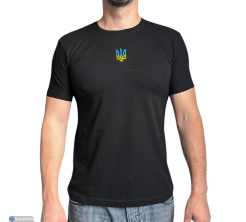 Футболка чоловіча на літо (5 шт. р.сетка M-3XL) чорний  "Plato"