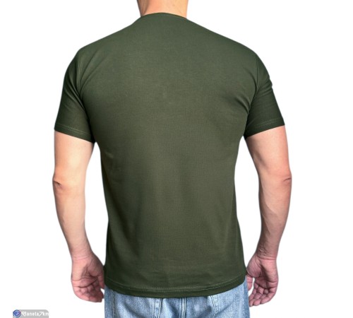 Футболка чоловіча на літо (5 шт. р.сетка M-3XL) зелений  "Plato"
