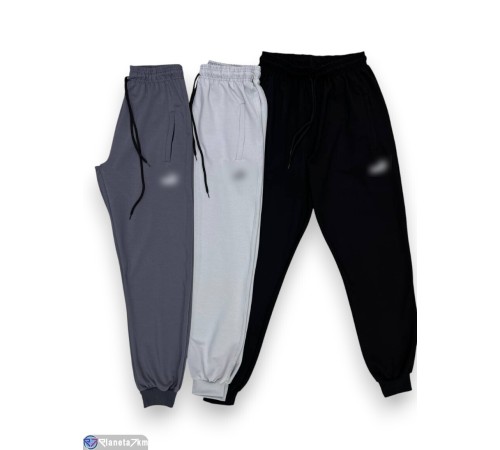 Чоловічі спортивні штани на весну/осінь (5 шт. р.сетка 50-60) мікс  "Peton"