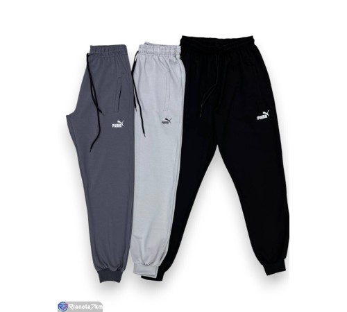Чоловічі спортивні штани на весну/осінь (5 шт. р.сетка 50-60) мікс  "Peton"