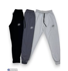 Чоловічі спортивні штани на весну/осінь (5 шт. р.сетка 50-60) мікс  "Peton"