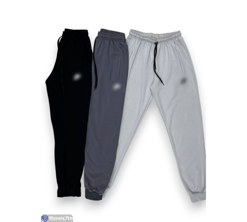 Чоловічі спортивні штани на весну/осінь (5 шт. р.сетка 50-60) мікс  "Peton"