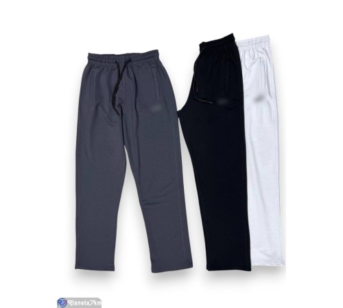 Чоловічі спортивні штани на весну/осінь (5 шт. р.сетка 50-60) мікс  "Peton"