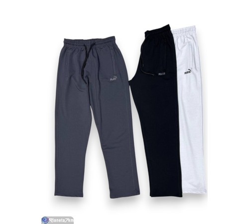 Чоловічі спортивні штани на весну/осінь (5 шт. р.сетка 50-60) мікс  "Peton"