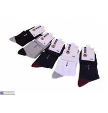 Шкарпетки чоловічі на весну/осінь (10 шт. р.сетка 41-47) мікс  "VERONIKA"