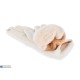 Рукавички жіночі на зиму (12 шт. р.сетка 6,5-8,5) мікс  "CAROLLA"