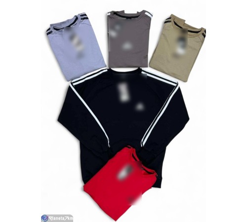 Батник чоловічий на весну/осінь (5 шт. р.сетка M-3XL) мікс  "Peton"