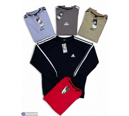 Батник чоловічий на весну/осінь (5 шт. р.сетка M-3XL) мікс  "Peton"