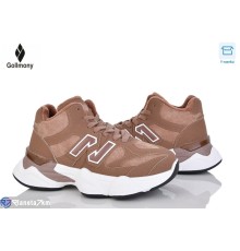 Кросівки жіночі на весну/осінь (8 пар р.36-41) коричневий  "Gollmony"