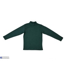 Гольф жіночий на весну/осінь (2 шт. р.сетка 2XL-3XL) зелений  "VERONIKA"