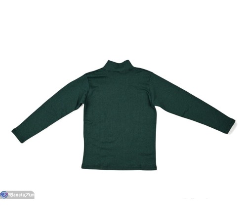 Гольф жіночий на весну/осінь (2 шт. р.сетка 2XL-3XL) зелений  "VERONIKA"
