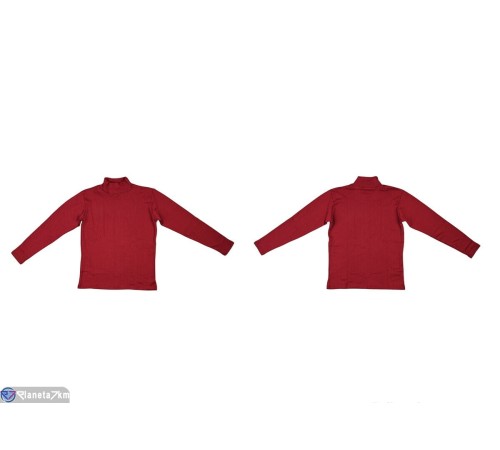 Гольф жіночий на весну/осінь (2 шт. р.сетка 2XL-3XL) бордовий  "VERONIKA"