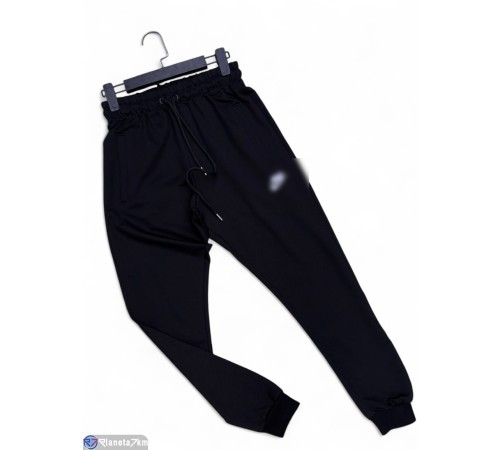 Чоловічі спортивні штани на весну/осінь (5 шт. р.сетка S-2XL) чорний  "Peton"