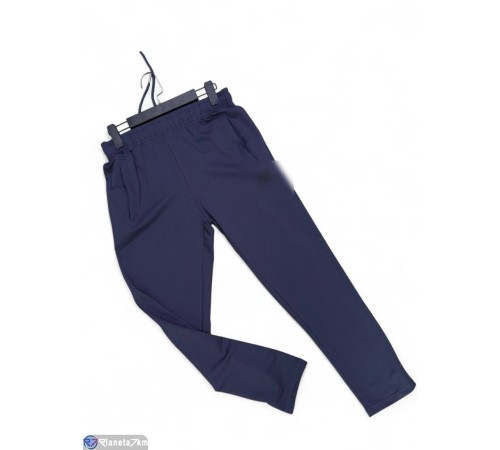 Чоловічі спортивні штани на весну/осінь (5 шт. р.сетка S-2XL) синій  "Peton"
