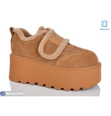 Туфлі жіночі на зиму (6 пар р.36-40) camel  "TETRAST"