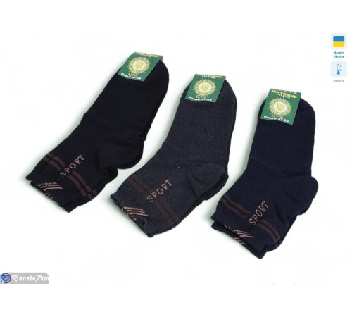 Шкарпетки чоловічі на зиму (12 шт. р.сетка 41-43) мікс  "VERONIKA"