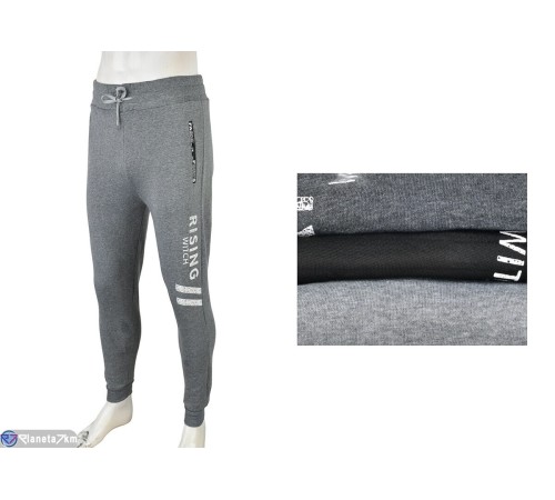 Чоловічі спортивні штани на зиму (12 шт. р.сетка L-3XL) мікс  "Mirella"