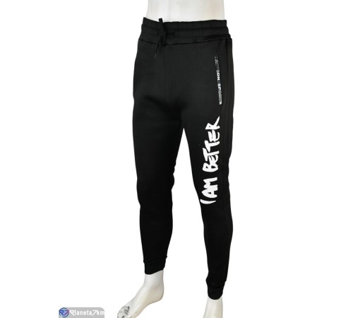 Чоловічі спортивні штани на зиму (12 шт. р.сетка L-3XL) мікс  "Mirella"