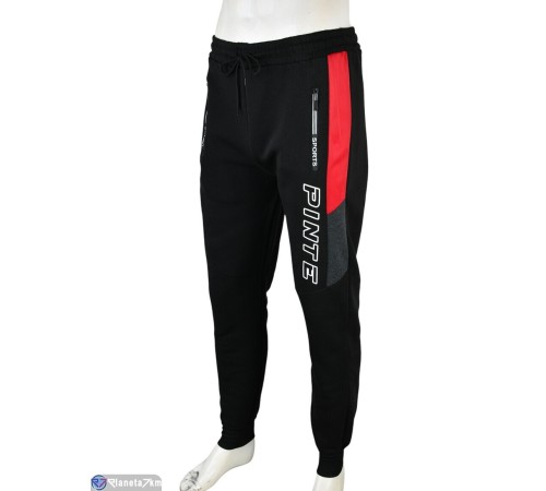 Чоловічі спортивні штани на зиму (12 шт. р.сетка L-3XL) мікс  "Mirella"