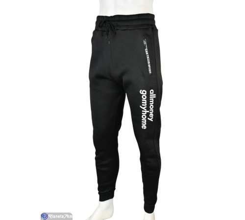 Чоловічі спортивні штани на зиму (12 шт. р.сетка L-3XL) мікс  "Mirella"