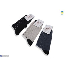 Жіночі шкарпетки на весну/осінь (12 шт. р.сетка 36-41) мікс  "VERONIKA"