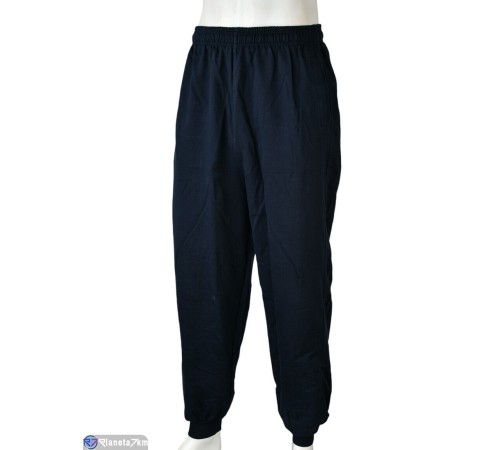 Чоловічі спортивні штани на весну/осінь (5 шт. р.сетка 48-56) синій  "Mirella"