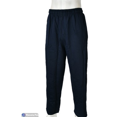 Чоловічі спортивні штани на весну/осінь (5 шт. р.сетка 54-62) синій  "Mirella"