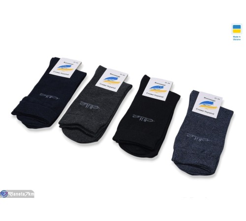 Шкарпетки чоловічі на весну/осінь (12 шт. р.сетка 41-44) мікс  "VERONIKA"