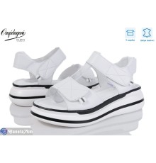 Босоніжки жіночі на літо (8 пар р.36-41) білий  "Dageni"