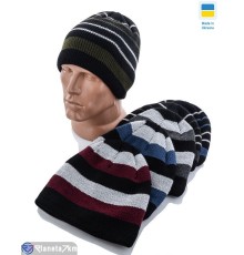 Шапка чоловіча на зиму (5 шт. р.сетка One size) мікс  "VIOLA"