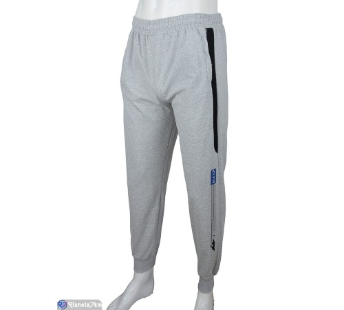 Чоловічі спортивні штани на весну/осінь (5 шт. р.сетка S-2XL) сірий  "DOMINGO"