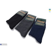 Шкарпетки чоловічі на весну/осінь (12 шт. р.сетка 39-42) мікс  "VERONIKA"