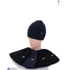 Шапка чоловіча на зиму (5 шт. р.сетка 56-60) мікс  "Angell"
