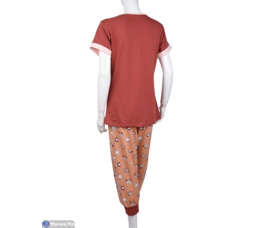Піжама жіноча на весну/осінь (3 шт. р.сетка 2XL-4XL) коричневий  "Lorinda"